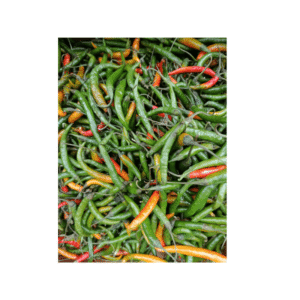 Piment Vert Fort